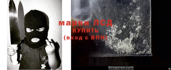 мяу мяу мука Надым