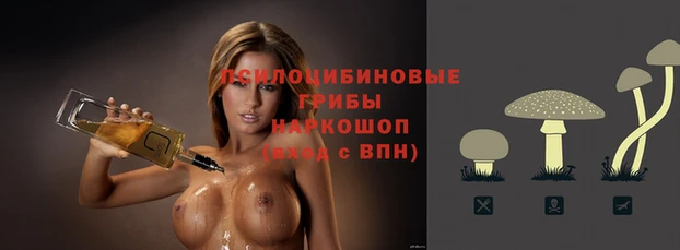 мяу мяу мука Надым