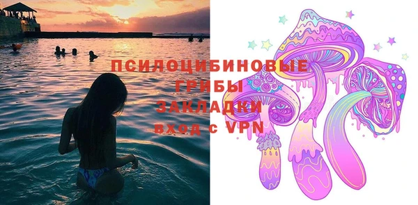 мяу мяу мука Надым