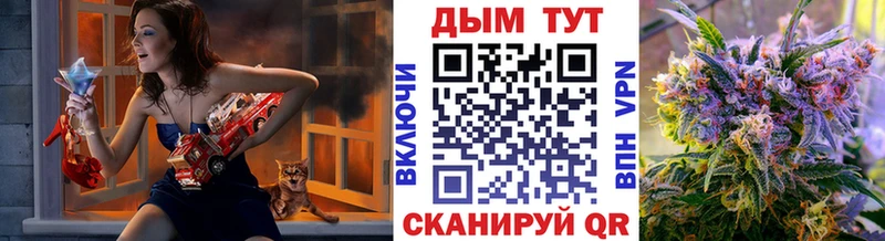 купить   Томари  Бошки марихуана OG Kush 